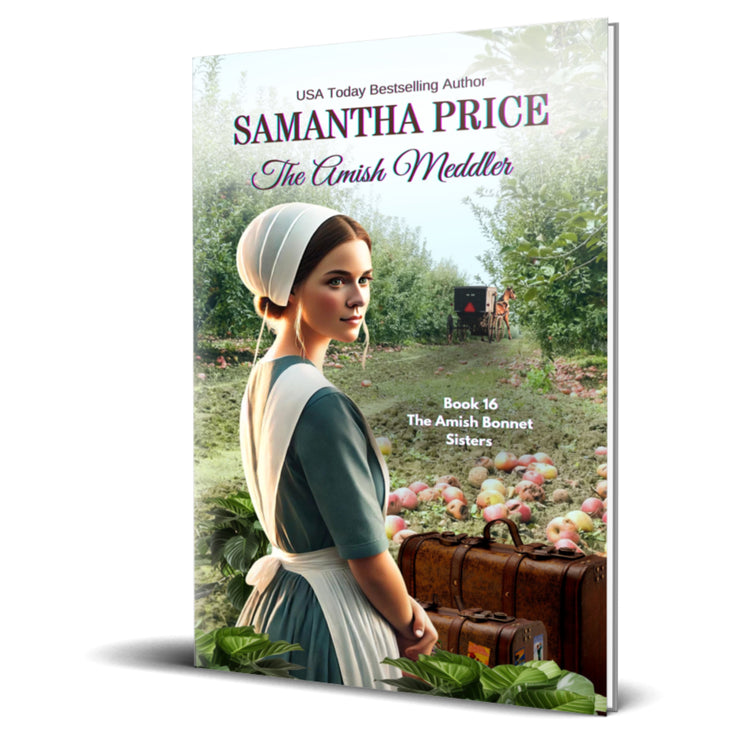 The Amish Meddler (PAPERBACK)