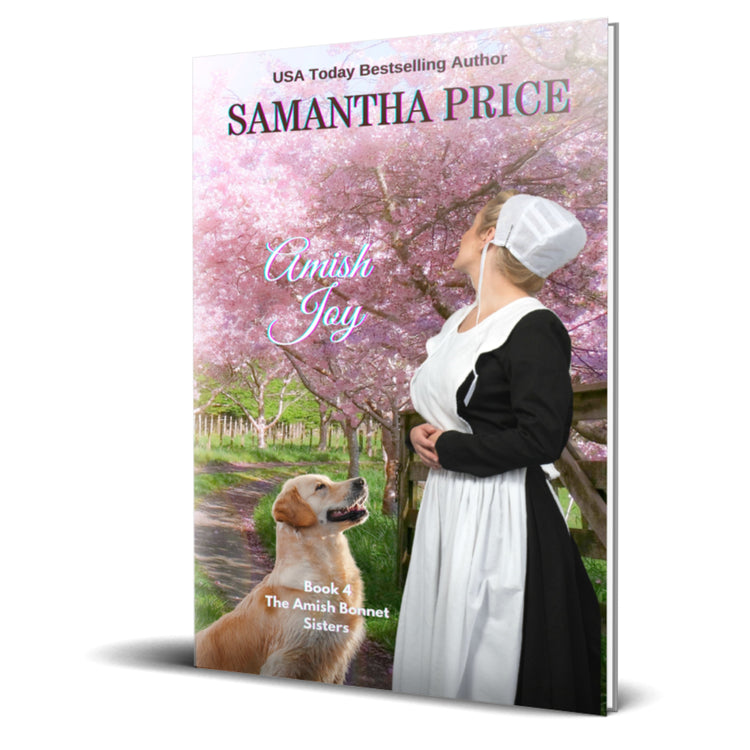 Amish Joy (PAPERBACK)