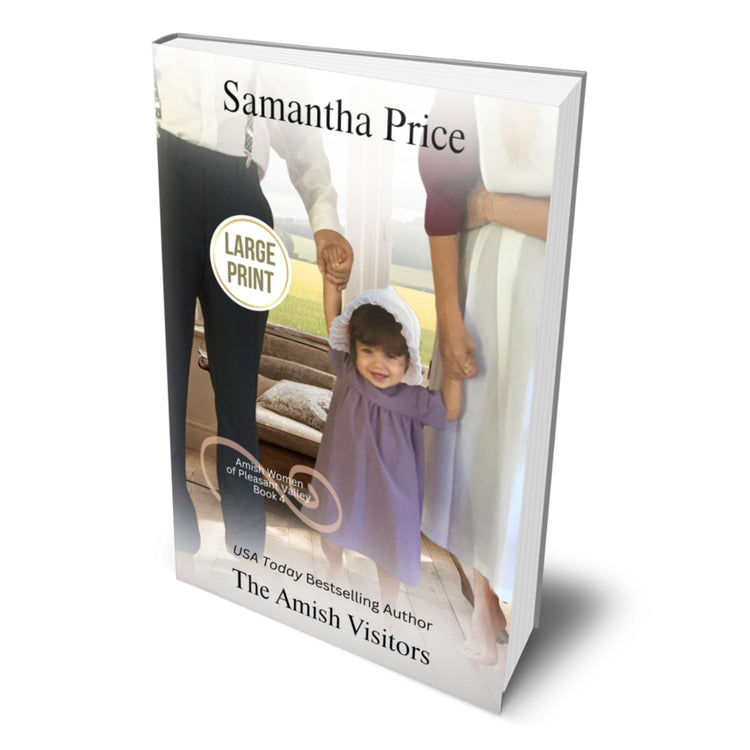 The Amish Visitors: Amish Romance (Large Print Paperback)