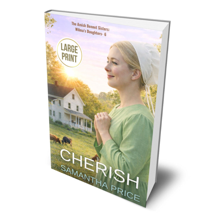 CHERISH AMISH LARGE PRINT EDITIION