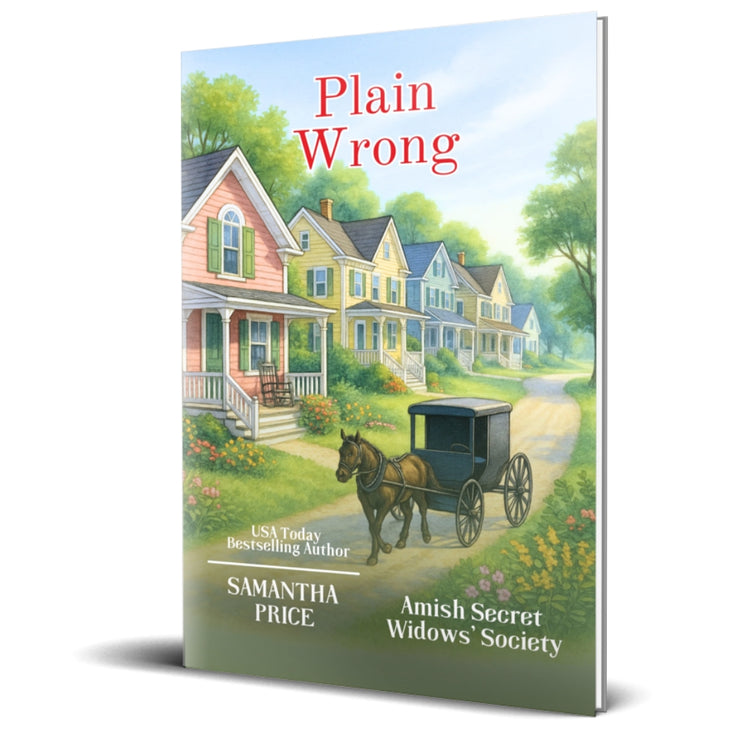 plain wrong, amish cozy