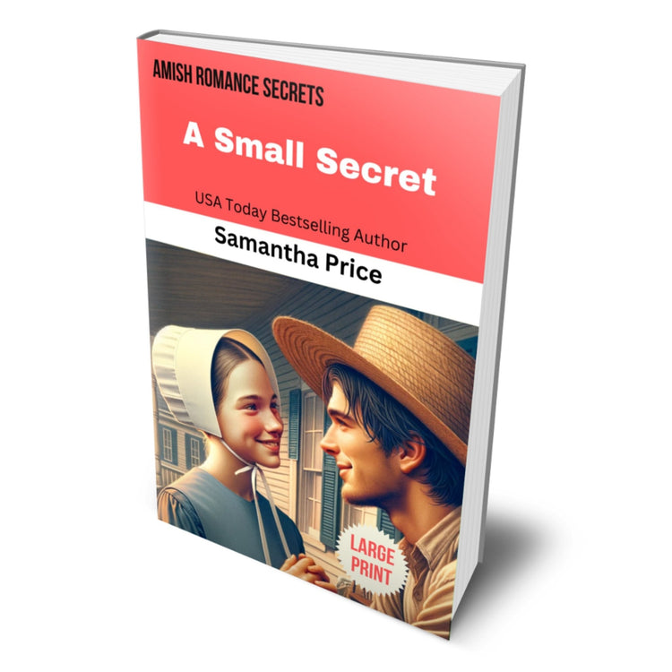 A Small Secret (LARGE PRINT PAPERBACK) - samanthapriceshop