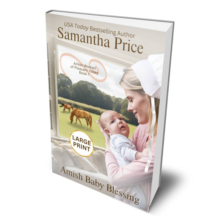 Amish Baby Blessing (LARGE PRINT PAPERBACK) - samanthapriceshop