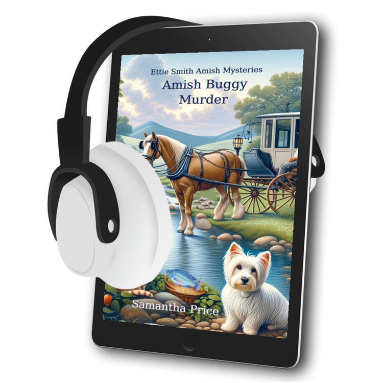 Amish Buggy Murder (AUDIOBOOK) - samanthapriceshop