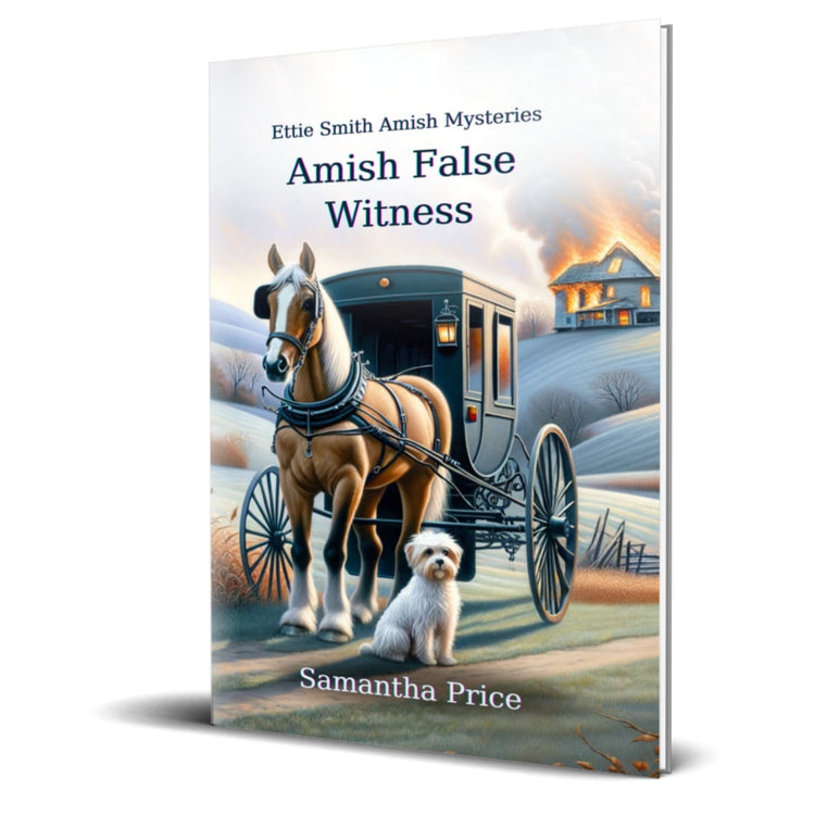 Amish False Witness (PAPERBACK) - samanthapriceshop