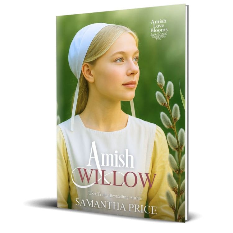 Amish Willow (PAPERBACK) - samanthapriceshop