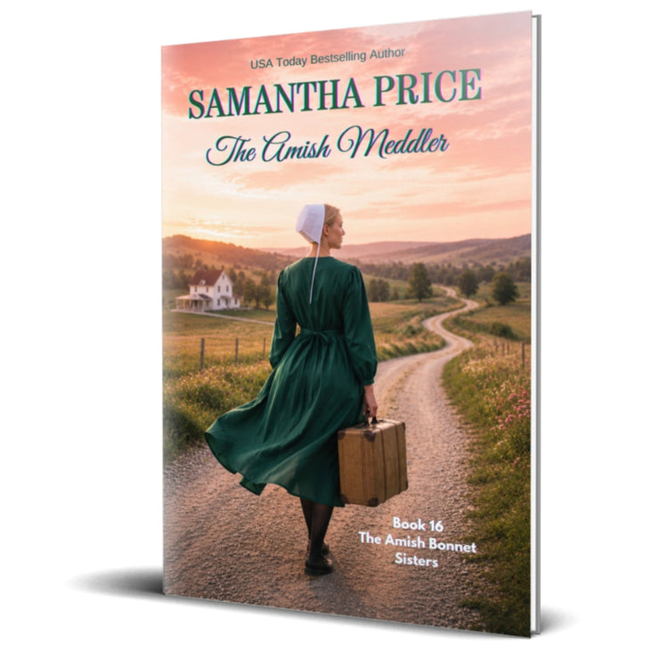 the amish meddler paperback cover