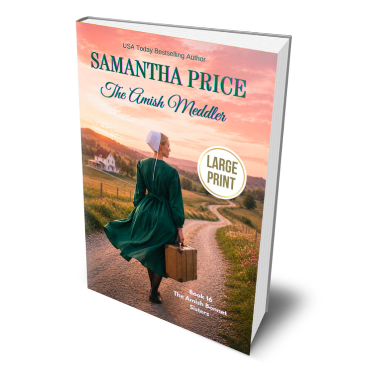 amish meddler large print edition. an amish woman on a country road with a suitcase