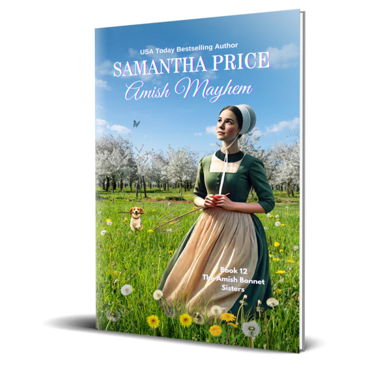 Amish Mayhem (PAPERBACK)