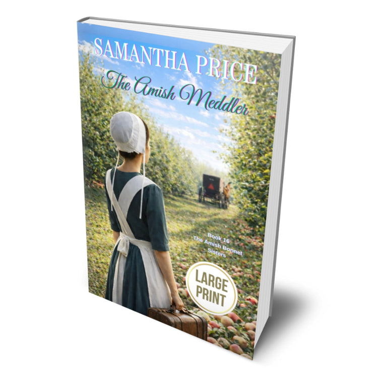 amish meddler amish large print paperback