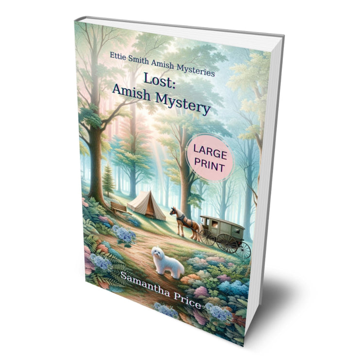 LOST (LARGE PRINT PAPERBACK) - samanthapriceshop