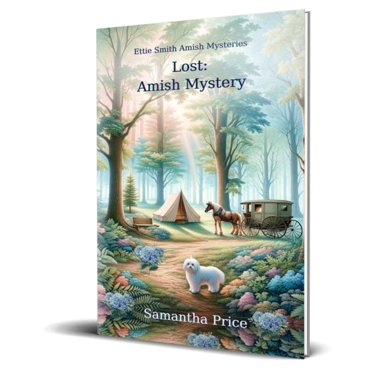 LOST (PAPERBACK) - samanthapriceshop