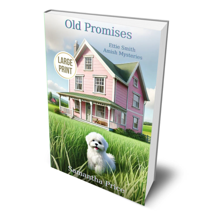 Old Promises (LARGE PRINT PAPERBACK) - samanthapriceshop
