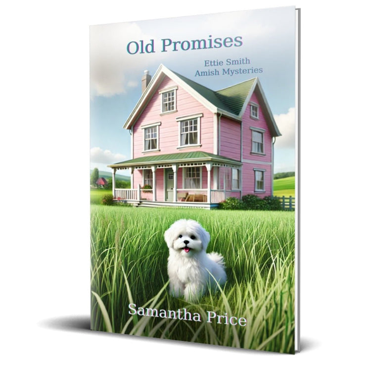 Old Promises (PAPERBACK) - samanthapriceshop