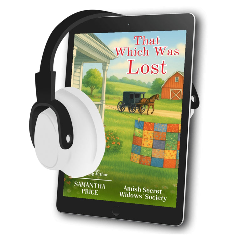 That Which Was Lost (AUDIOBOOK) - samanthapriceshop