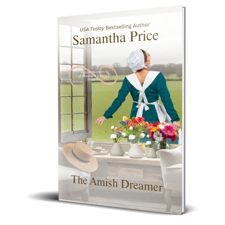 The Amish Dreamer (PAPERBACK) - samanthapriceshop