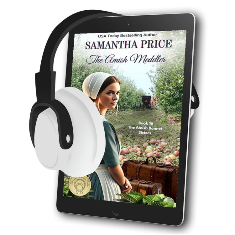 The Amish Meddler (AUDIOBOOK) - samanthapriceshop