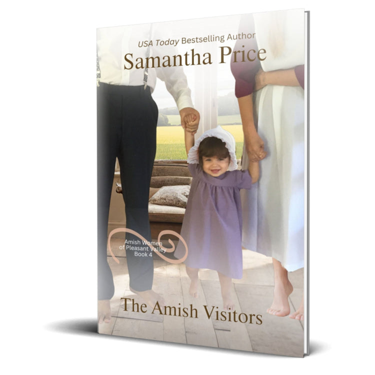 The Amish Visitors (PAPERBACK) - samanthapriceshop
