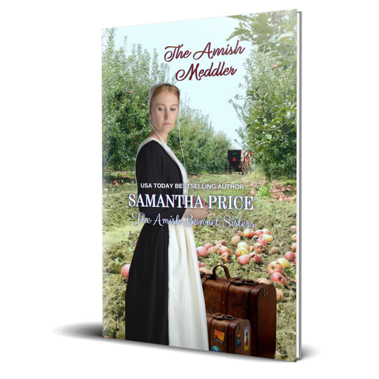 The Amish Meddler (PAPERBACK)
