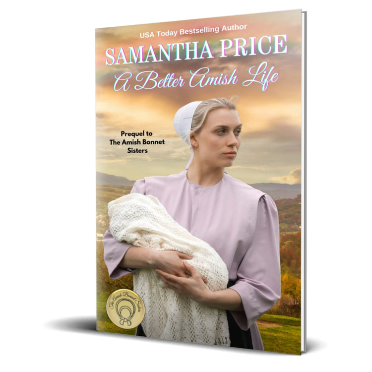 A Better Amish Life (PAPERBACK) - samanthapriceshop