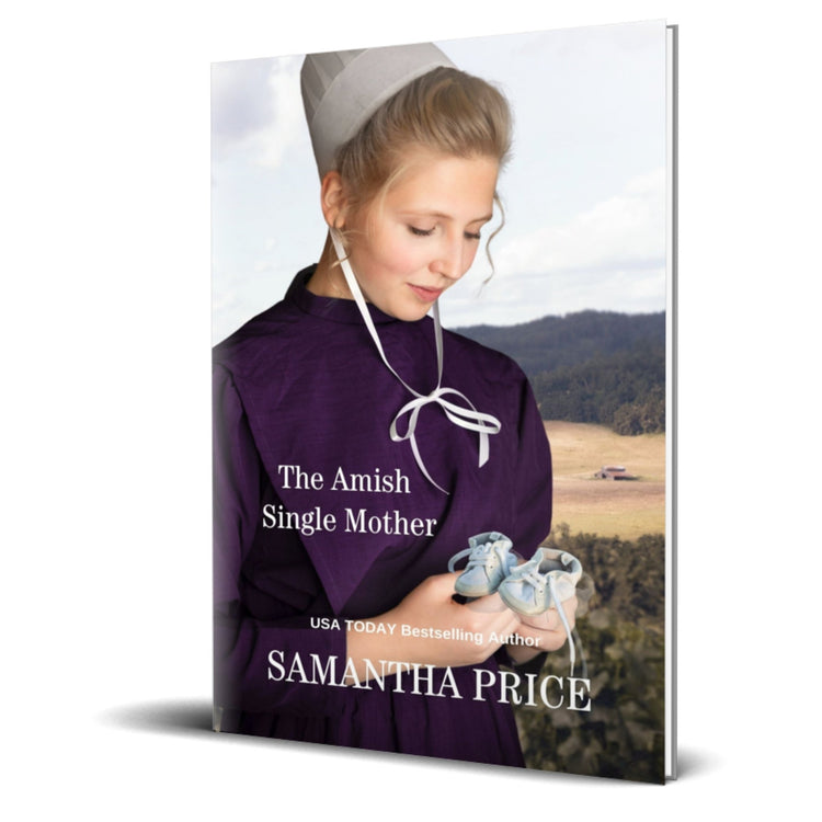 The Amish Single Mother (PAPERBACK) - samanthapriceshop