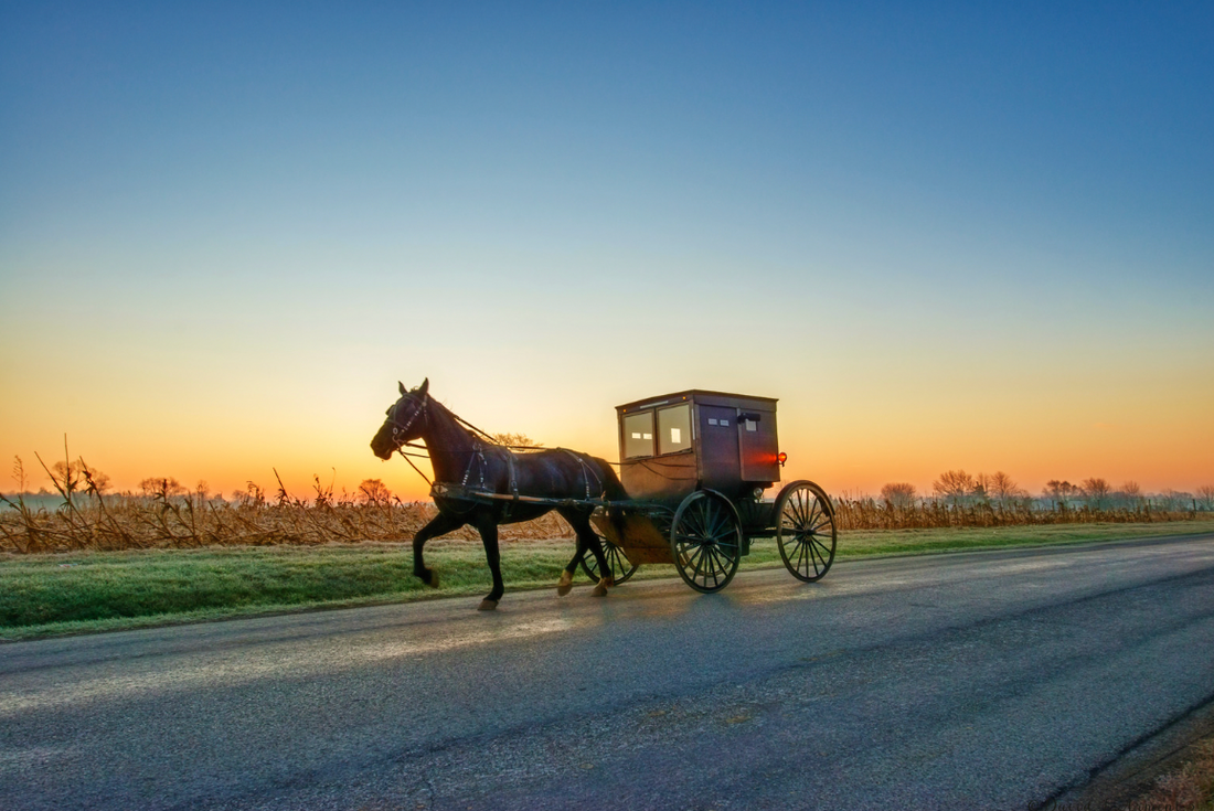 Who are the Amish?