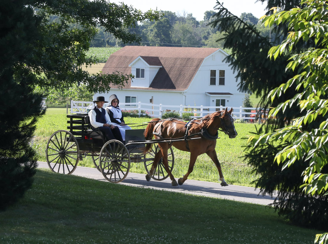 Ten Things Amish Women Can't Do That We Can