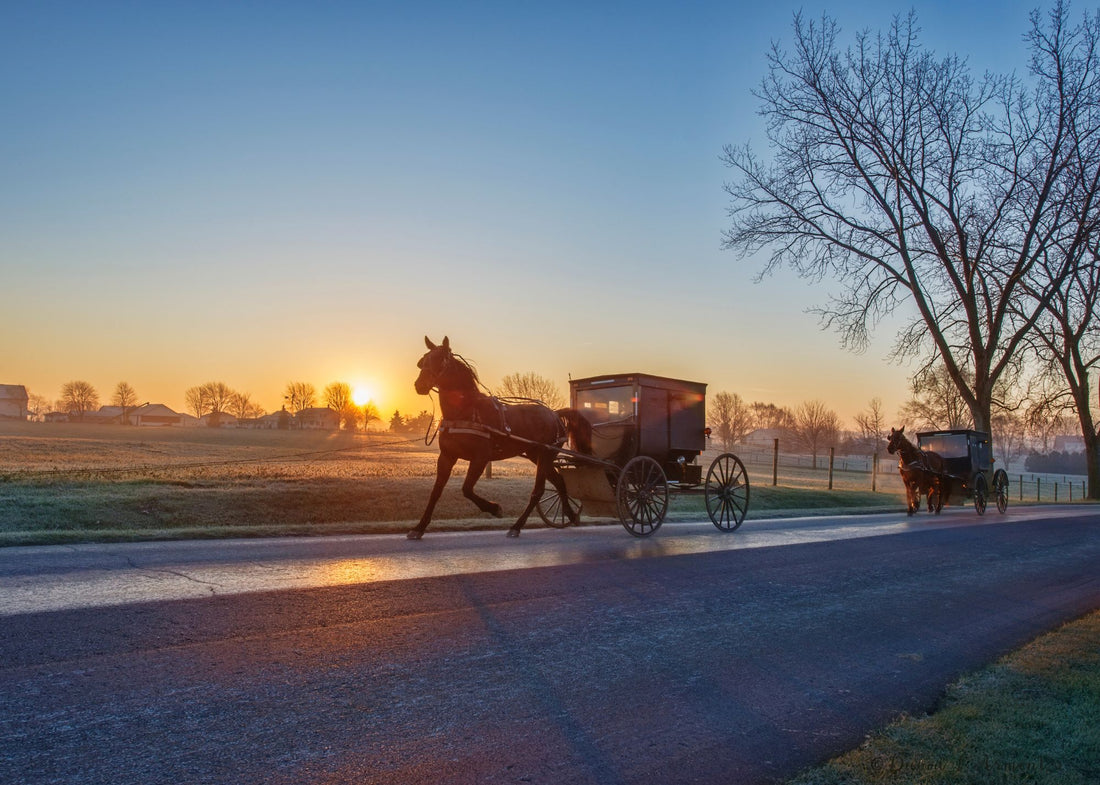 The Secrets of Amish Singing Revealed.