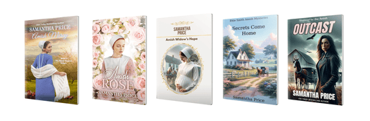 Top 5 Amish Romance Books for First-Time Readers: Best Amish Fiction 2025 - samanthapriceshop