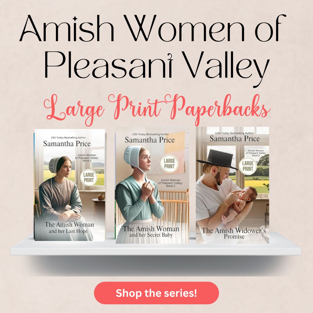 Amish Women of Pleasant Valley (LARGE PRINT PAPERBACK)