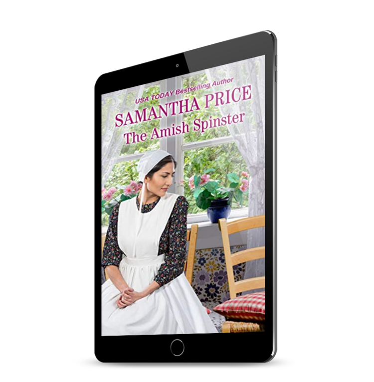 The Amish Spinster (EBOOK)