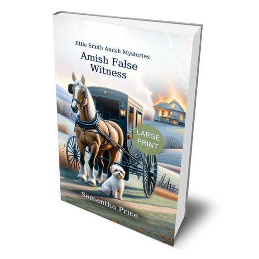 Amish False Witness (LARGE PRINT PAPERBACK)
