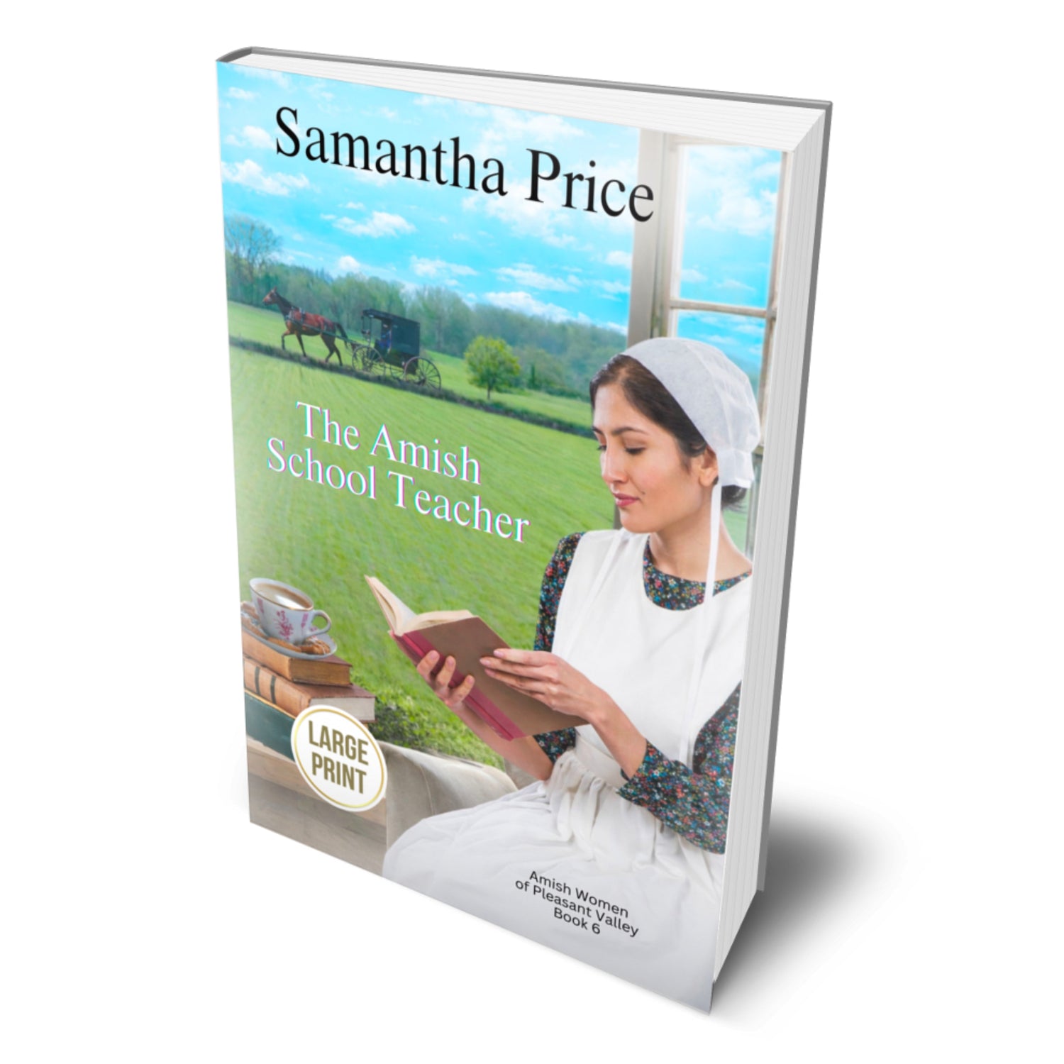 Book cover of 'The Amish School Teacher' by Samantha Price with a woman in traditional Amish clothing reading a book.