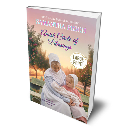 amish fiction series in large print