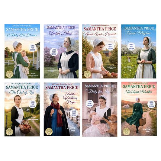 Amish bonnet Sisters Large Print Paperback Bundle 2