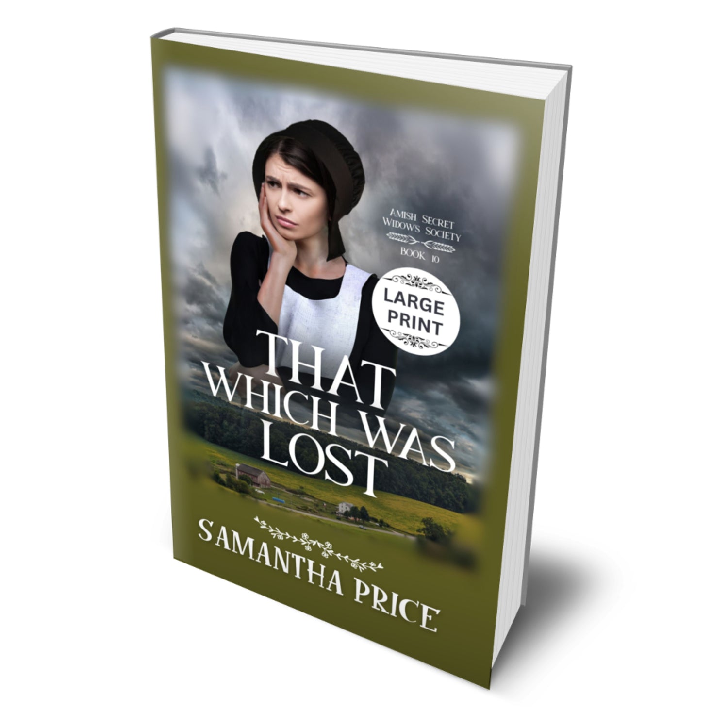 That Which Was Lost (Large Print PAPERBACK)