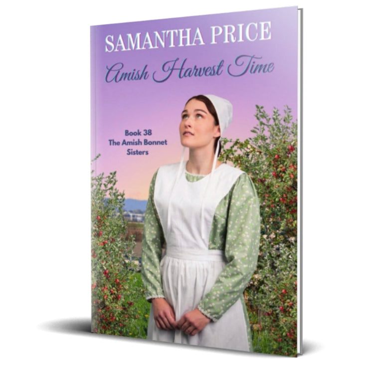 amish harvest time paperback
