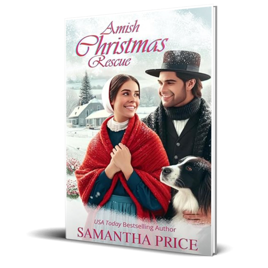 Amish Christmas Rescue (PAPERBACK)