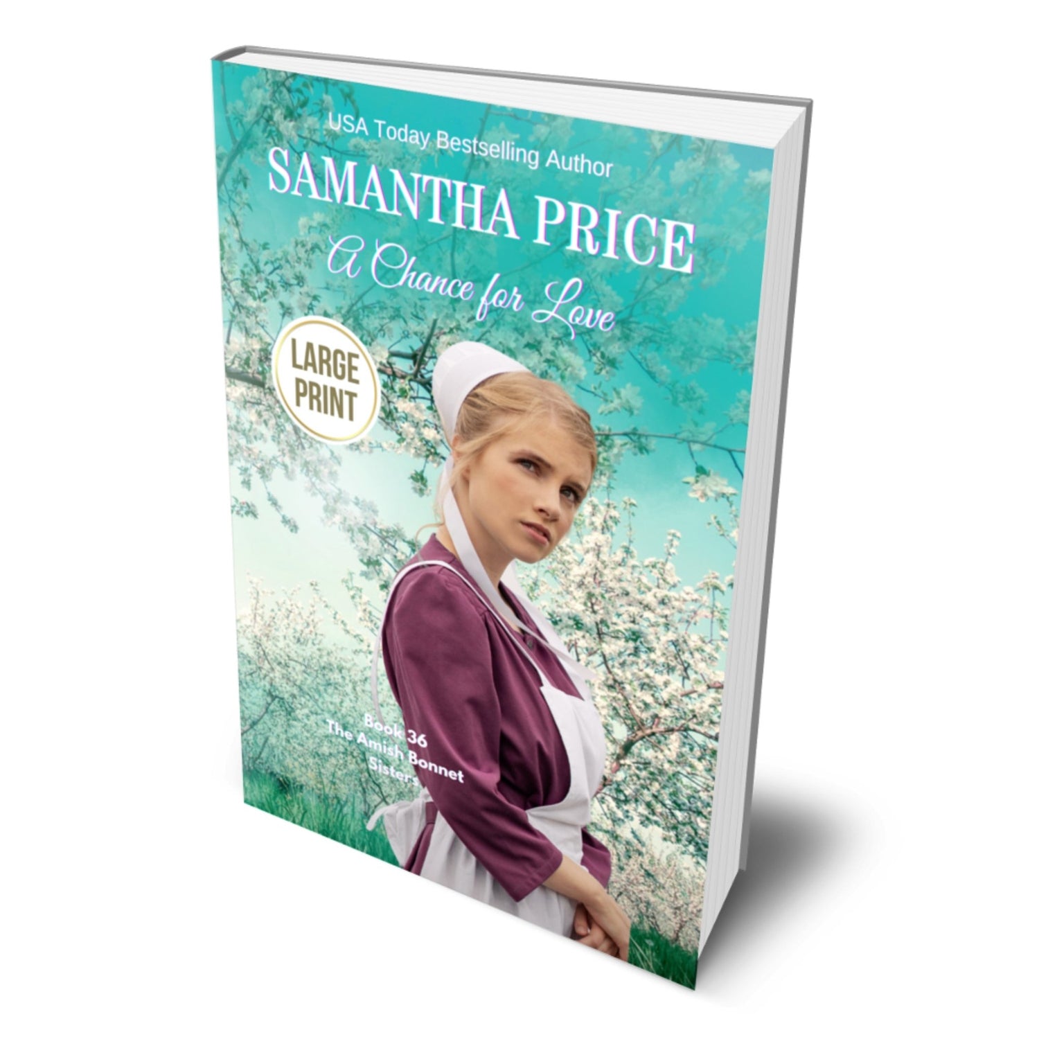 A Chance for Love (LARGE PRINT PAPERBACK) - samanthapriceshop