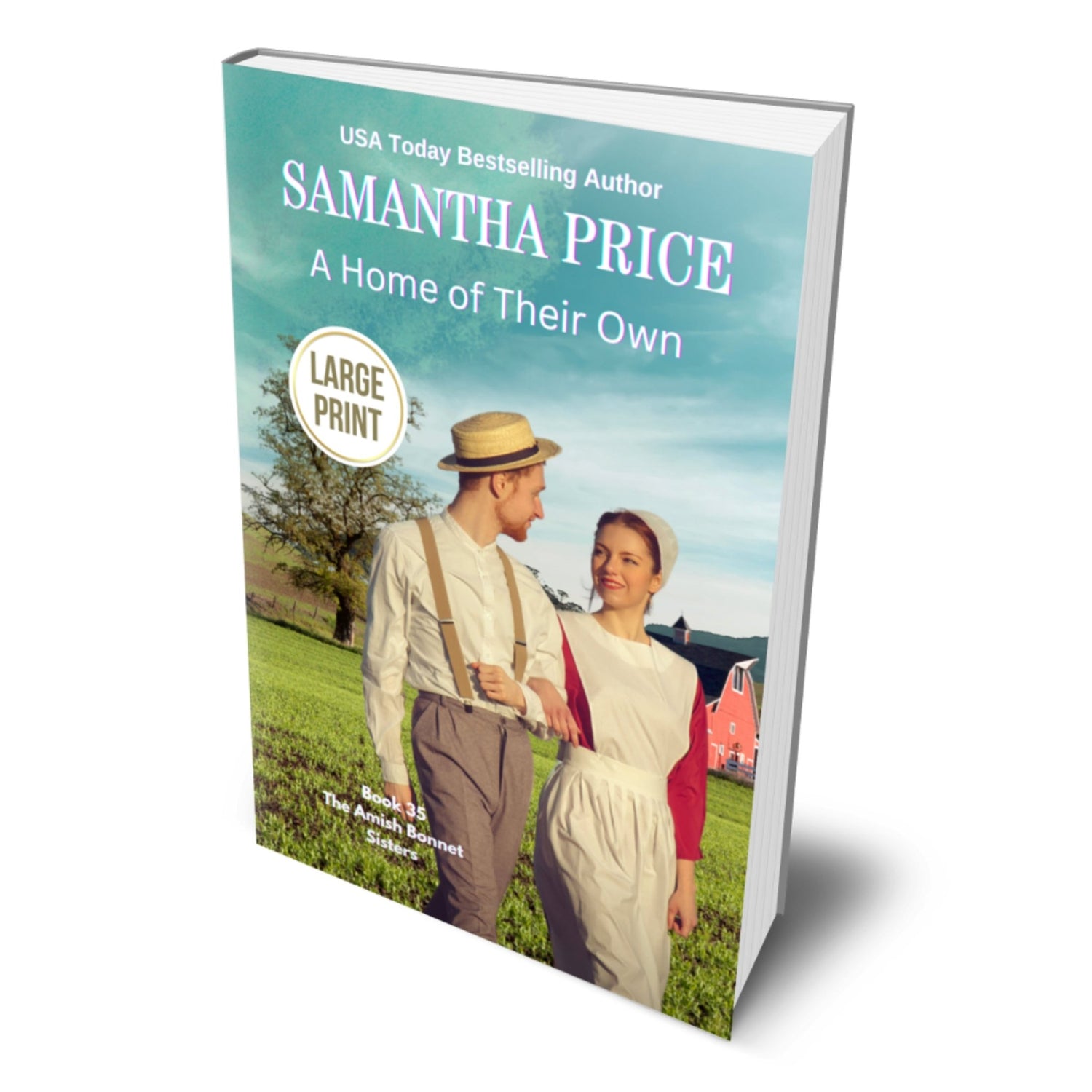 A Home of Their Own (LARGE PRINT PAPERBACK) - samanthapriceshop