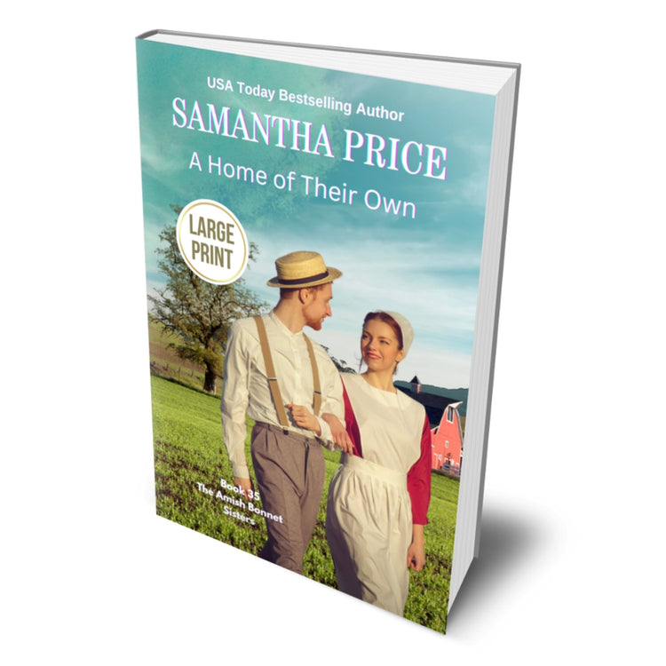 A Home of Their Own (LARGE PRINT PAPERBACK) - samanthapriceshop
