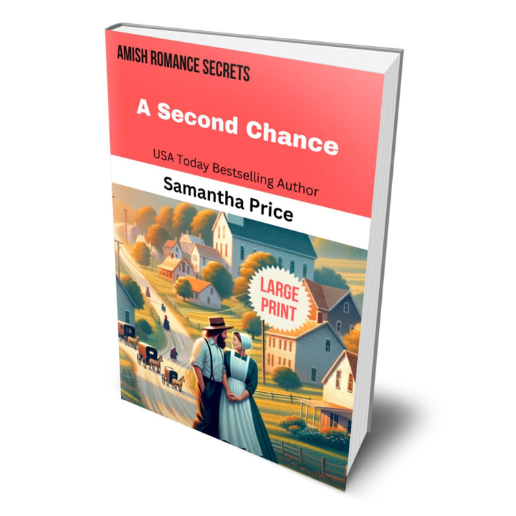 A Second Chance (LARGE PRINT PAPERBACK) - samanthapriceshop