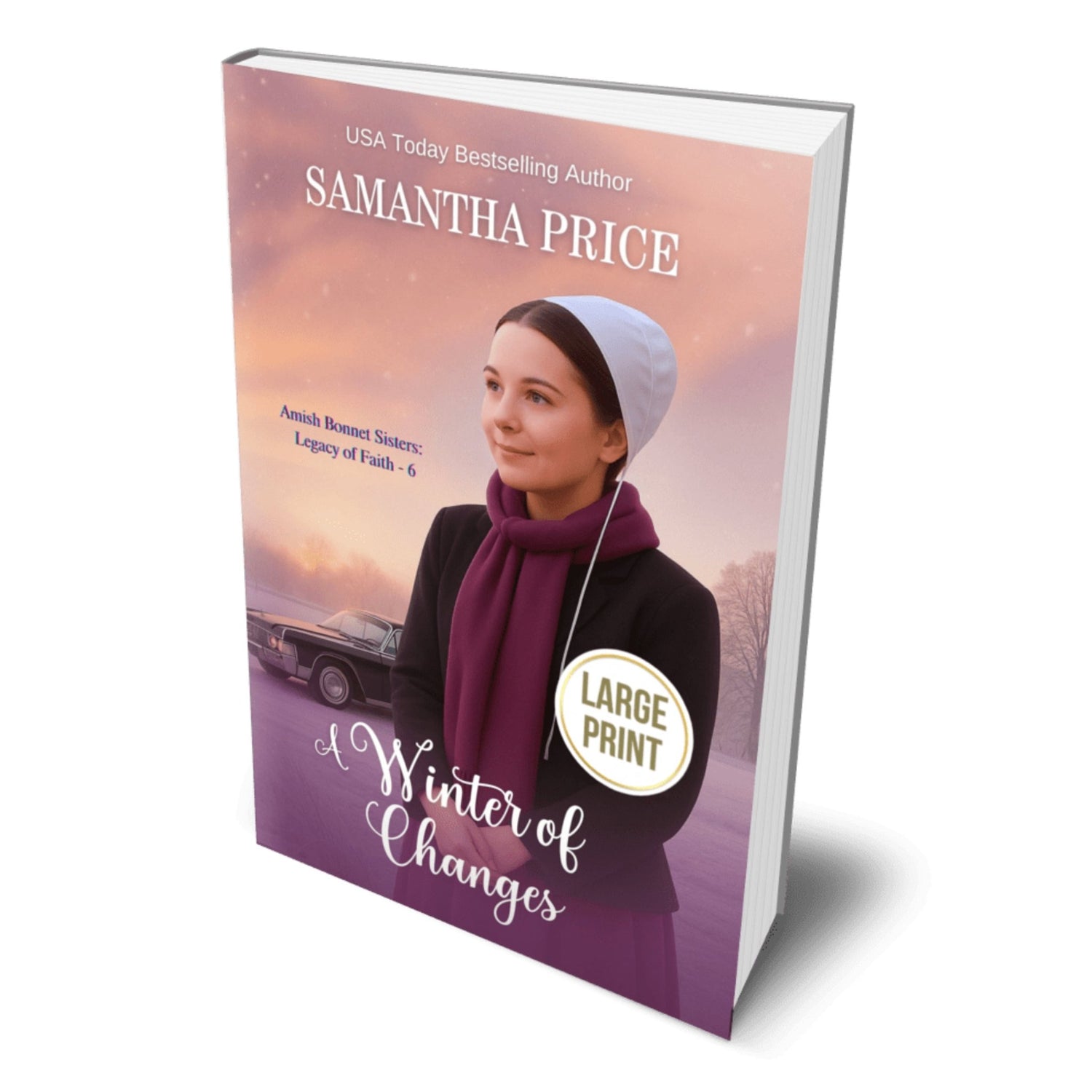 A Winter of Changes (LARGE PRINT PAPERBACK) - samanthapriceshop