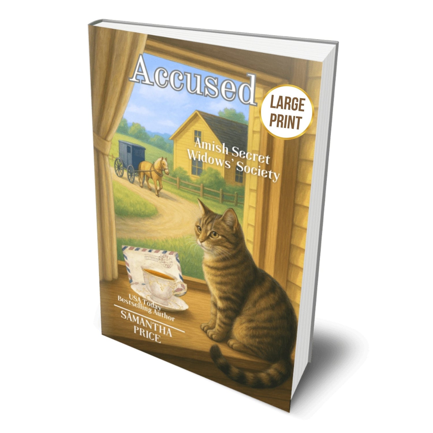 Accused (Large Print PAPERBACK) - samanthapriceshop