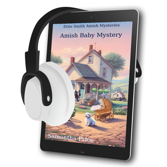 Amish Baby Mystery (AUDIOBOOK) - samanthapriceshop
