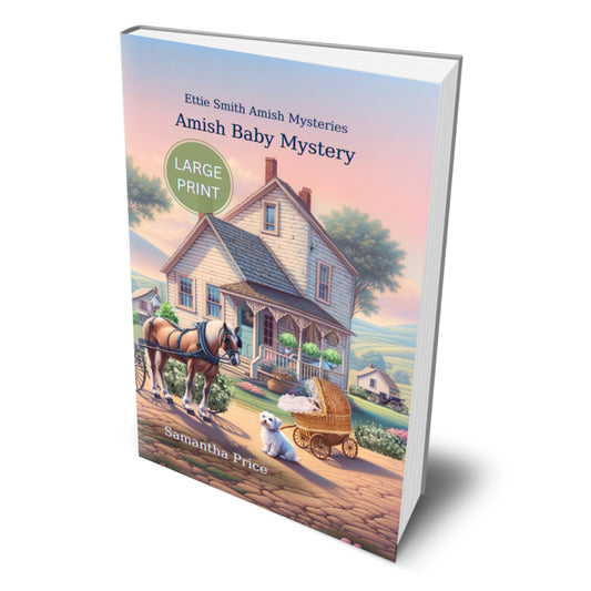 Amish Baby Mystery (LARGE PRINT PAPERBACK) - samanthapriceshop
