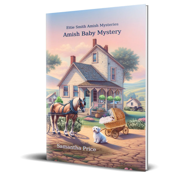 Amish Baby Mystery (PAPERBACK) - samanthapriceshop