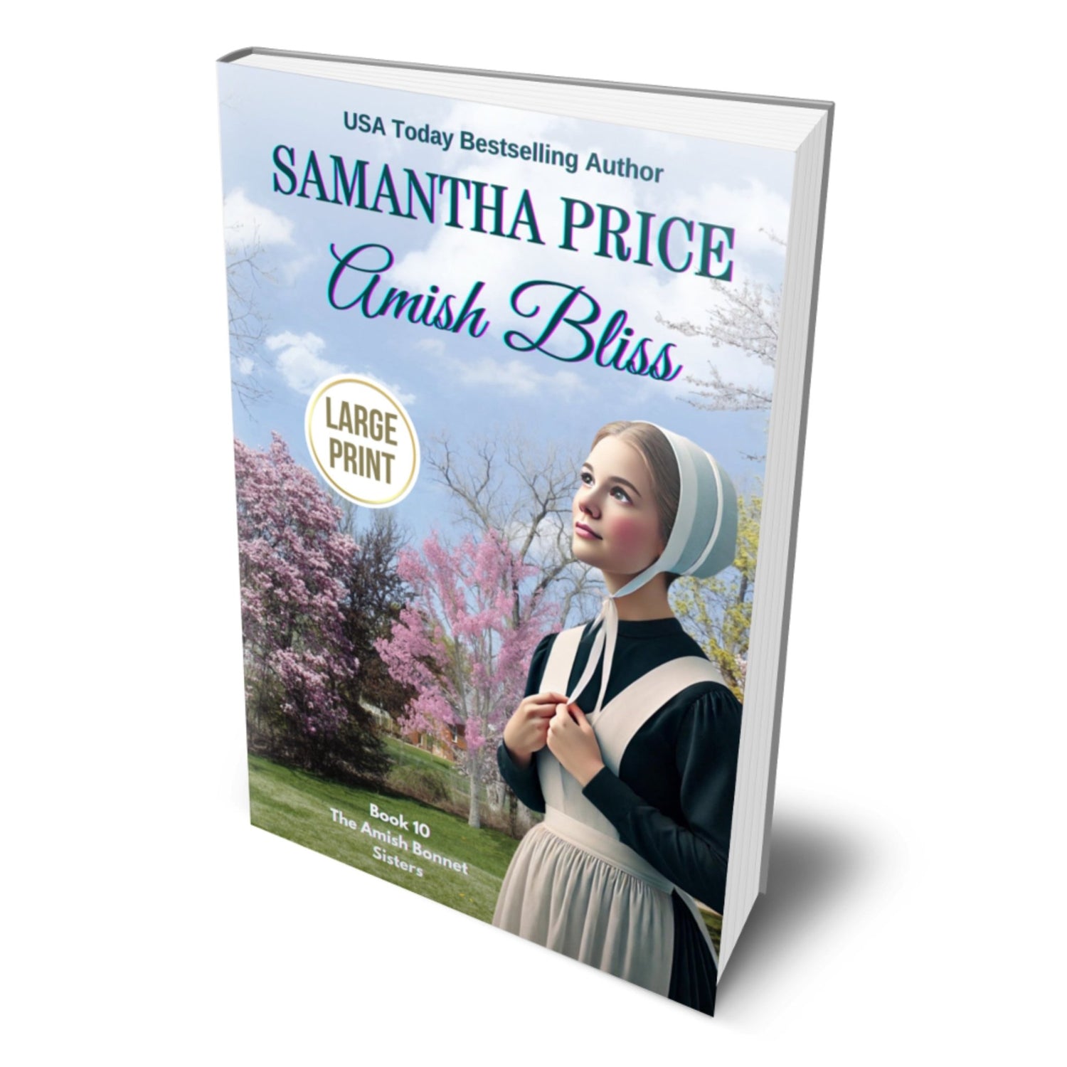 Amish Bliss (LARGE PRINT PAPERBACK) - samanthapriceshop