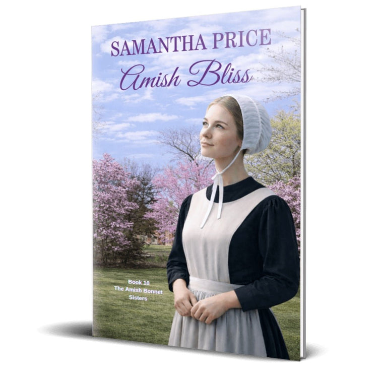 Amish Bliss (PAPERBACK) - samanthapriceshop