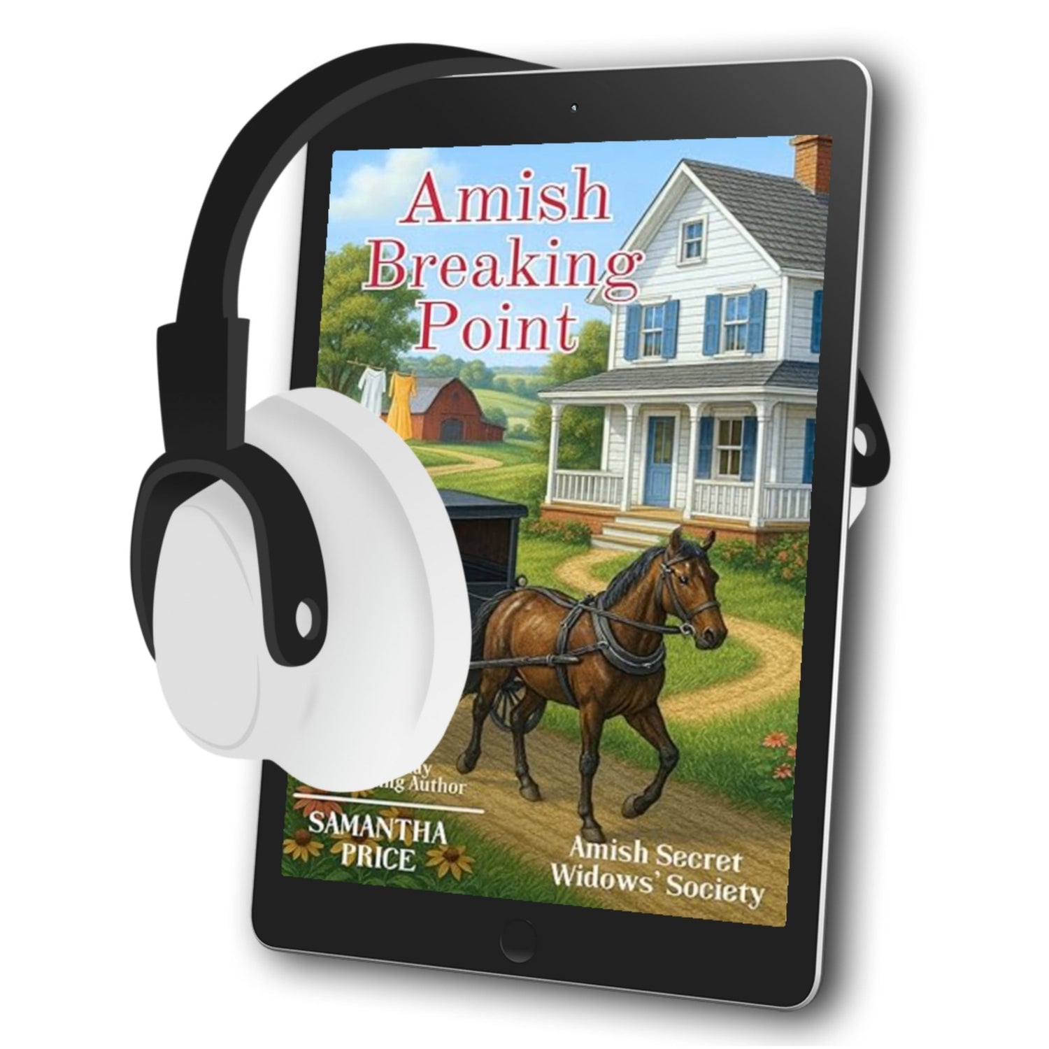 Amish Breaking Point (AUDIOBOOK) - samanthapriceshop